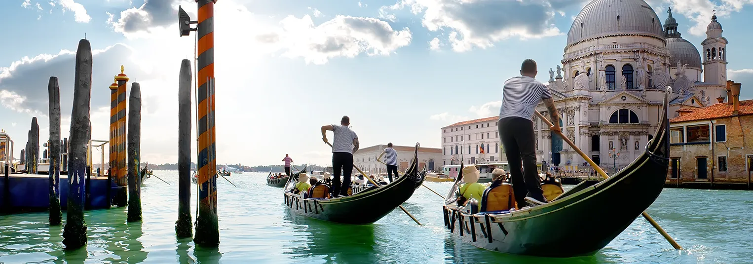 banner-from-the-us-to-venice-1